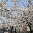 춘하추동교동택지점