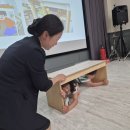 튜립유치원 이미지