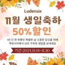 GS25 주안파크자이점 | 여주] 루덴시아 테마파크 ; 11월 12월 크리스마스...트리 포토존 생일자이벤트 할인 티켓구매 가족여행...