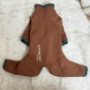 핫독 | 알파아이콘 핫독가드 sm 후기 _(3키로 강아지, 도쿄 매장 후기, 사이즈 추천)