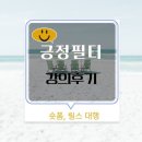 긍정 | "릴스.숏폼 대행 '긍정필터' 강의 후기"