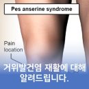 다온GYM | 거위발건염 재활에 대해서 도화동pt 모두짐에서 알려드립니다.