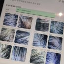 동양파라곤 앞 | [부천 상동] 브랜드 출신 재클린 원장님의 부천상동미용실 <살동더샹델 부천 상동점> 후기