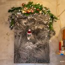 위미동백군락 | 겨울 제주여행 제주도 동백꽃명소 위미리 위미동백군락지 카페