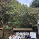 황골탐방지원센터 | 치악산 황골탐방센터 코스 두 번째 다녀온 후기