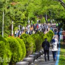 2025 성안올레 걷기 축제 이미지