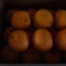 영서농장 이미지