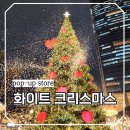 잠실역.롯데월드 | 잠실역 롯데월드몰 먹거리 놀거리 롯데타운 크리스마스 마켓 팝업스토어 이용 꿀팁