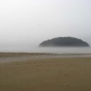 여름의 숲 이미지