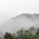 민들레여행 이미지