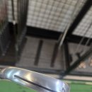 P-6507 | 고양골프샵 브릿지스톤 V300 3세대 팔고 테일러메이드 P790 신형 4-P 보상판매 후기