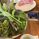 한글날 휴무 청주 여행 삼겹살 맛집 시골생고기 방문 후기
