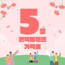 하성플러스