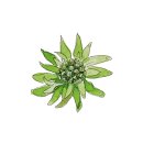 힐링원예 이미지