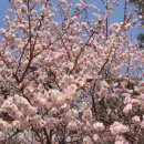 (주)덕산자원 이미지