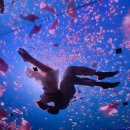 삼정센텀Q시티 | 부산 해운대 센텀시티 뮤지엄원 전시회 | 다시 낭만의 시대 관람후기