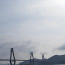 저도