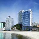 페어필드 바이 메리어트 부산 송도비치호텔 네이버블로그