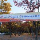 감은가로수길 이미지