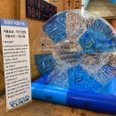둥지파크 | 변산 소노벨 워터파크 오션플레이 후기