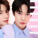 도영1호 이미지