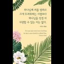 오늘의 &#39;신앙 명언&#39;(47강) 토마스 애덤스(Thomas Adams) 이미지