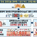 야기네경로당 네이버블로그