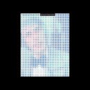 그래픽 디자이너 탐구 | 빔 크라우벨 Wim Crouwel - 그리드의 시스템화, 타이포그래피의 정교화