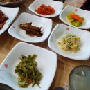 장수식당 - 동두천시 | 여수 현지인 여수 엑스포 맛집 장수식당 솔직후기 서대회무침 게장백반 생선구이 가성비 맛집