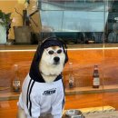 카페0124