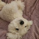 안경명가 플러스 | 2/2 캐시워크 정답리스트와비트버니 정답^^