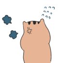 카페엘(cafe EL)