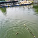 남양낚시터 이미지