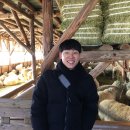 현우목장 이미지