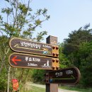 38선 숨길 디모테오길 이미지