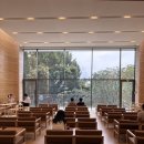 힐링 포레스트 이미지