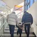 강화도 화개산 모노레일 타고 전망대 스카이워크 하기:)