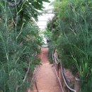 원평목장 이미지