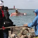 예인체육관 이미지