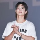 바닐리 이미지