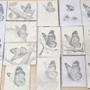 연필화(중급) 이미지