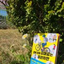 25-097. 열세 살에 히어로는 무리지만/구로노 신이치/사케 미호 그림/이미향 옮김/한빛에듀/1쇄 2025.2.15./148면 이미지