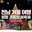 함평 겨울밤 빛축제 전남 겨울 축제 이미지