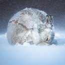 빅픽처6(Big Picture6) 이미지