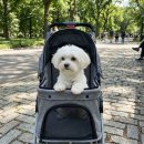 타임투반려동물 장례식장 이미지