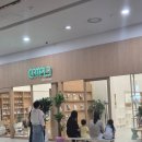 고양이 | 일산 탄현 캣카페 캣플헤븐 고양이카페 후기
