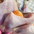 명품참가자미 이미지