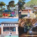 경북 청도 가볼만한곳 신화랑풍류마을 레일바이크 등 국내 가을 여행지 추천