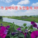 바닷가 실버타운 / 엄상익 이미지