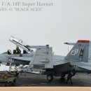 [Meng Model] 1/48 USN F/A-18F Super Hornet, VFA-41 "Black Aces" 이미지